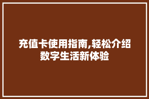 充值卡使用指南,轻松介绍数字生活新体验