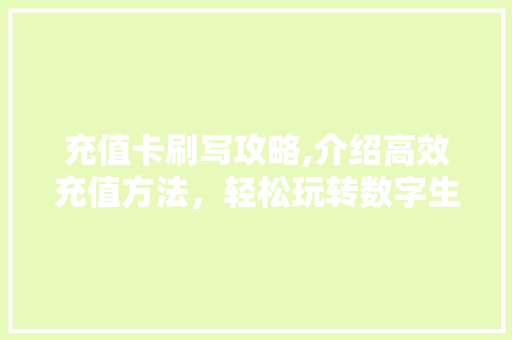 充值卡刷写攻略,介绍高效充值方法，轻松玩转数字生活