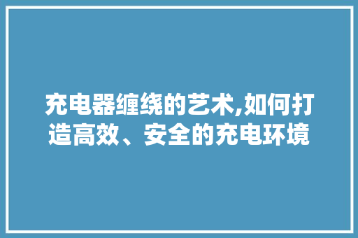 充电器缠绕的艺术,如何打造高效、安全的充电环境