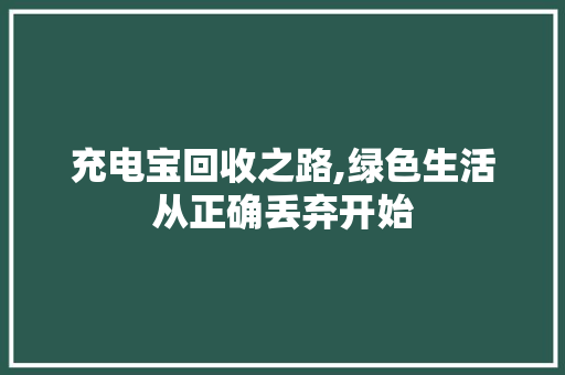 充电宝回收之路,绿色生活从正确丢弃开始