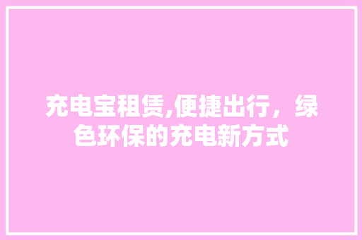 充电宝租赁,便捷出行，绿色环保的充电新方式