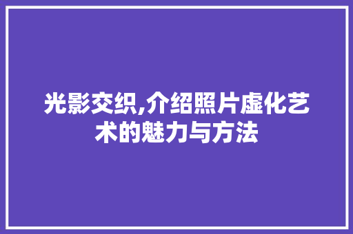 光影交织,介绍照片虚化艺术的魅力与方法