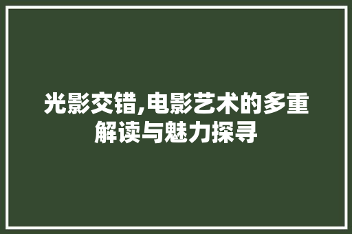 光影交错,电影艺术的多重解读与魅力探寻