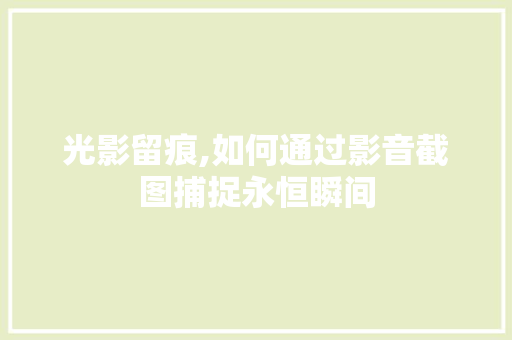光影留痕,如何通过影音截图捕捉永恒瞬间
