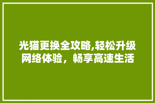 光猫更换全攻略,轻松升级网络体验，畅享高速生活
