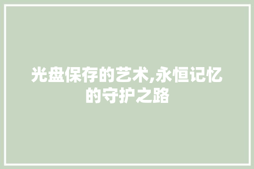 光盘保存的艺术,永恒记忆的守护之路