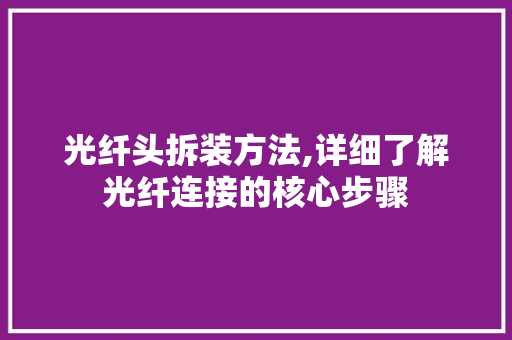 光纤头拆装方法,详细了解光纤连接的核心步骤