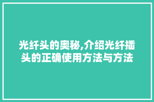 光纤头的奥秘,介绍光纤插头的正确使用方法与方法