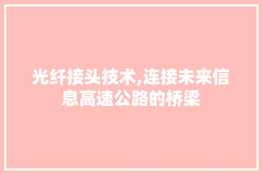 光纤接头技术,连接未来信息高速公路的桥梁