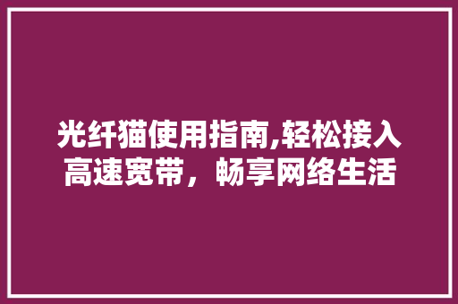 光纤猫使用指南,轻松接入高速宽带，畅享网络生活