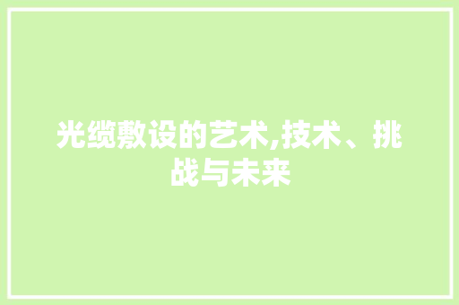 光缆敷设的艺术,技术、挑战与未来