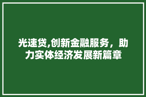 光速贷,创新金融服务，助力实体经济发展新篇章