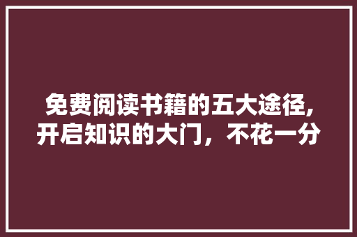 免费阅读书籍的五大途径,开启知识的大门，不花一分钱