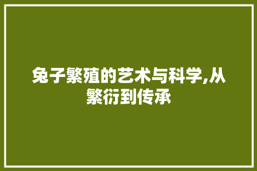 兔子繁殖的艺术与科学,从繁衍到传承