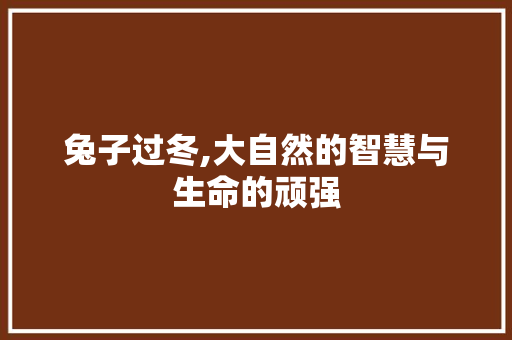 兔子过冬,大自然的智慧与生命的顽强