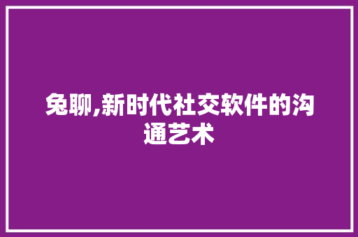 兔聊,新时代社交软件的沟通艺术