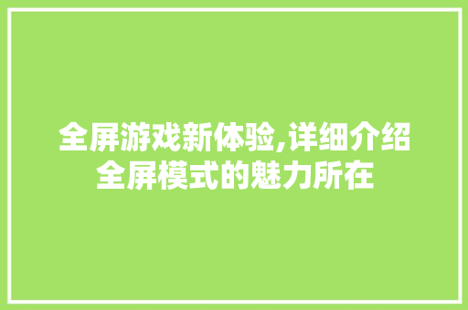 全屏游戏新体验,详细介绍全屏模式的魅力所在
