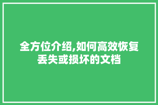 全方位介绍,如何高效恢复丢失或损坏的文档