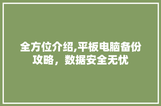 全方位介绍,平板电脑备份攻略，数据安全无忧
