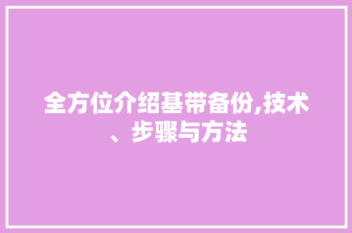 全方位介绍基带备份,技术、步骤与方法