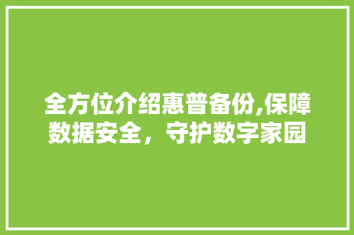 全方位介绍惠普备份,保障数据安全，守护数字家园