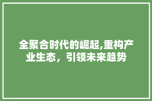 全聚合时代的崛起,重构产业生态，引领未来趋势