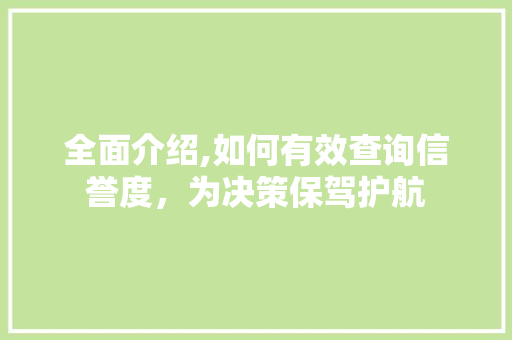 全面介绍,如何有效查询信誉度，为决策保驾护航