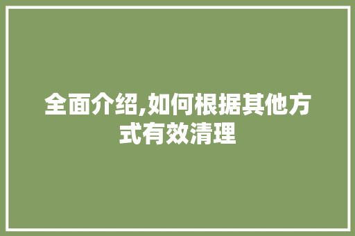 全面介绍,如何根据其他方式有效清理