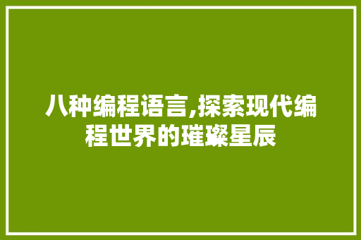 八种编程语言,探索现代编程世界的璀璨星辰