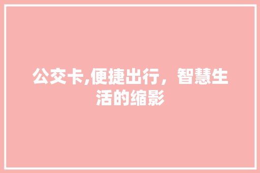 公交卡,便捷出行，智慧生活的缩影
