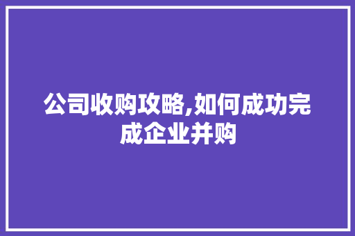 公司收购攻略,如何成功完成企业并购