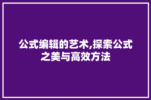 公式编辑的艺术,探索公式之美与高效方法