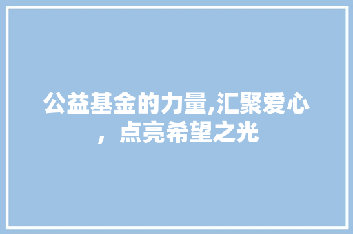 公益基金的力量,汇聚爱心，点亮希望之光