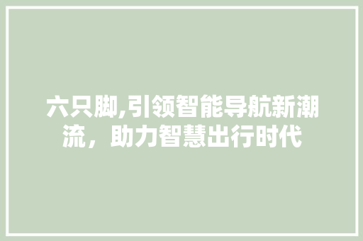 六只脚,引领智能导航新潮流，助力智慧出行时代
