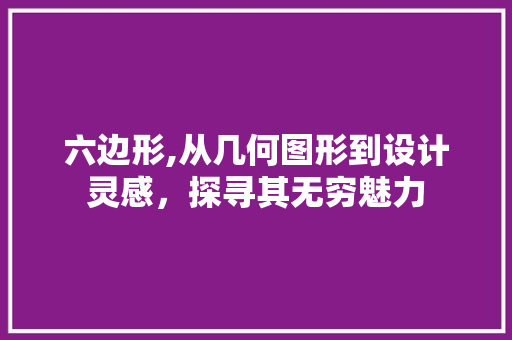 六边形,从几何图形到设计灵感，探寻其无穷魅力