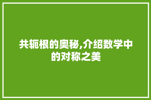 共轭根的奥秘,介绍数学中的对称之美