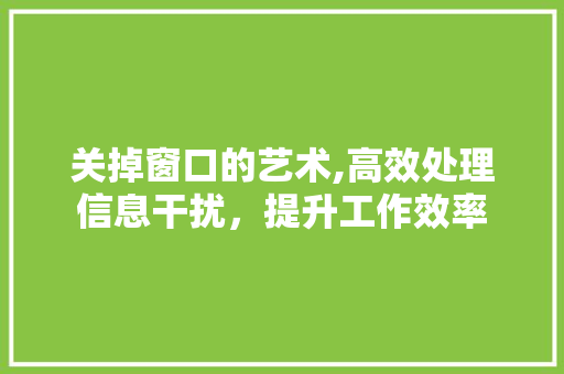关掉窗口的艺术,高效处理信息干扰，提升工作效率