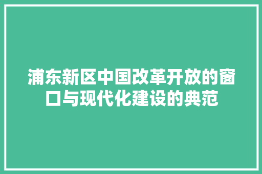 浦东新区中国改革开放的窗口与现代化建设的典范