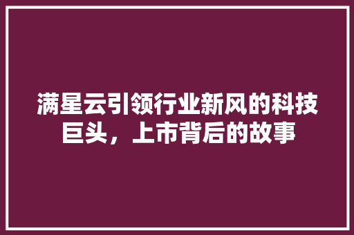 满星云引领行业新风的科技巨头，上市背后的故事