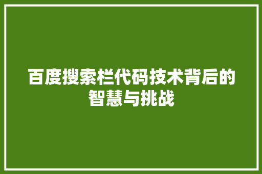 百度搜索栏代码技术背后的智慧与挑战