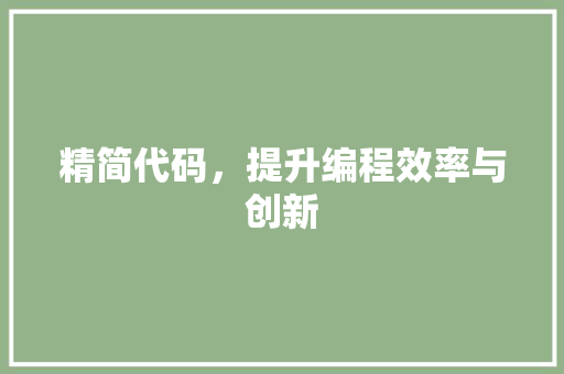 精简代码，提升编程效率与创新