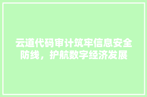 云道代码审计筑牢信息安全防线，护航数字经济发展