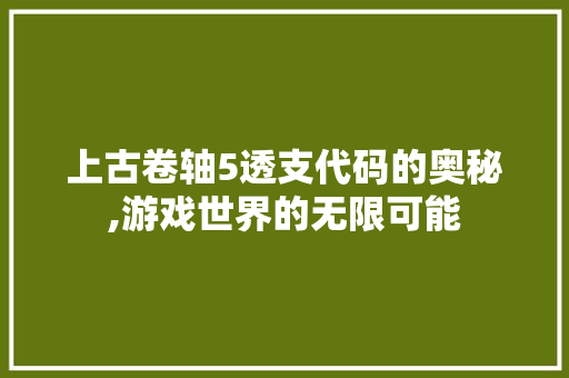 上古卷轴5透支代码的奥秘,游戏世界的无限可能