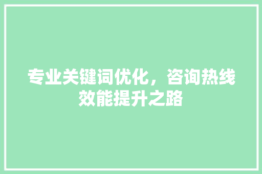专业关键词优化，咨询热线效能提升之路