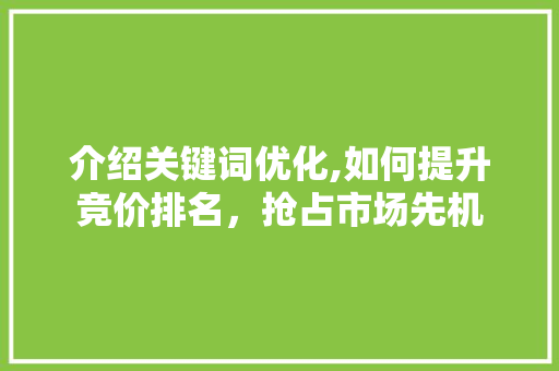 介绍关键词优化,如何提升竞价排名，抢占市场先机