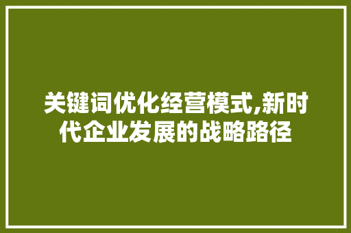 关键词优化经营模式,新时代企业发展的战略路径