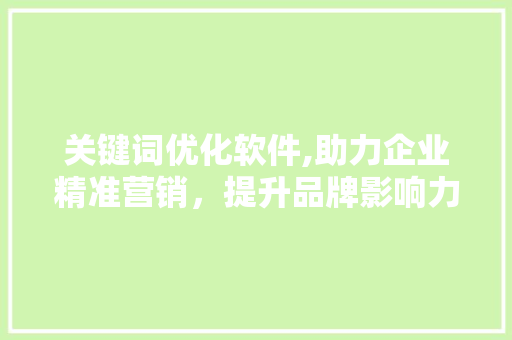 关键词优化软件,助力企业精准营销，提升品牌影响力