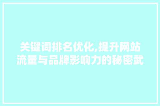 关键词排名优化,提升网站流量与品牌影响力的秘密武器