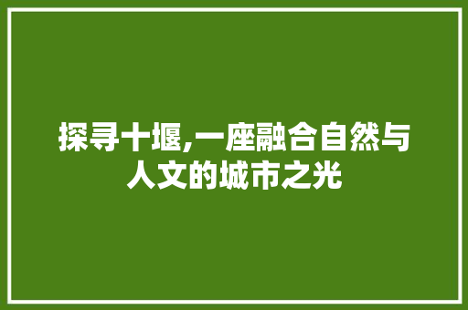 探寻十堰,一座融合自然与人文的城市之光