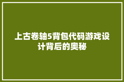 上古卷轴5背包代码游戏设计背后的奥秘
